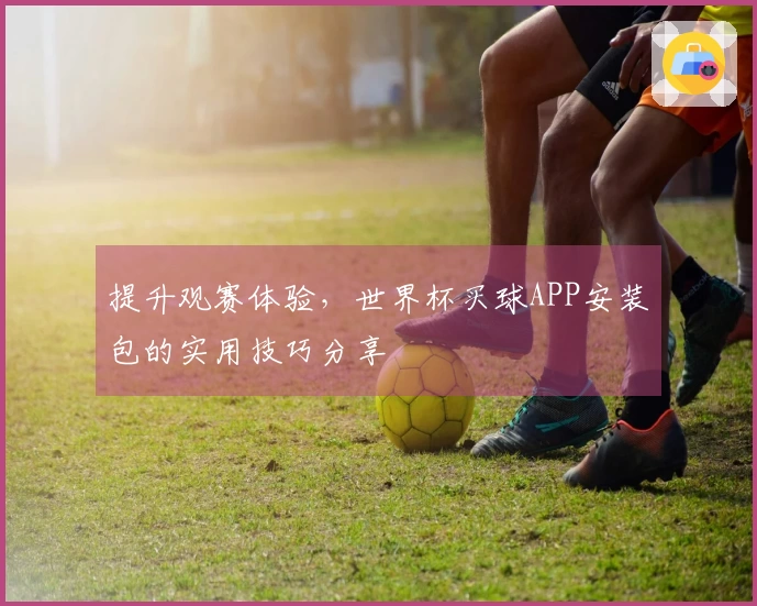提升观赛体验，世界杯买球APP安装包的实用技巧分享