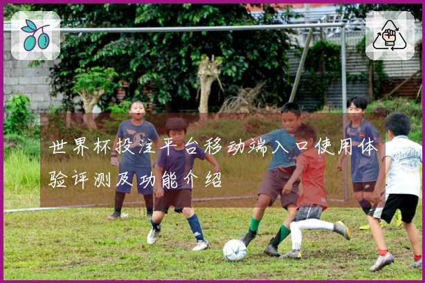 世界杯投注平台移动端入口使用体验评测及功能介绍