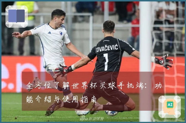 全方位了解世界杯买球手机端：功能介绍与使用指南