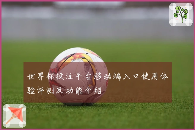 世界杯投注平台移动端入口使用体验评测及功能介绍