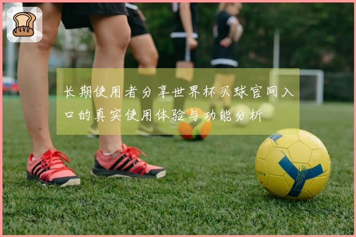 长期使用者分享世界杯买球官网入口的真实使用体验与功能分析
