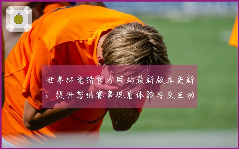 世界杯竞猜官方网站最新版本更新，提升您的赛事观看体验与交互功能