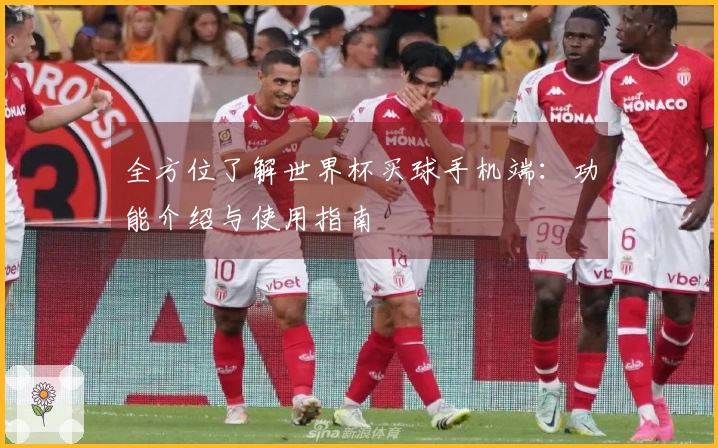 全方位了解世界杯买球手机端：功能介绍与使用指南